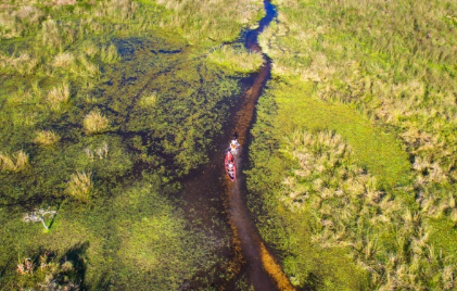 为关注气候的旅行者提供了10种环保旅行选择