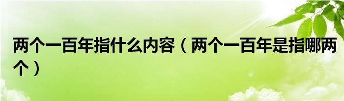 两个一百年指什么内容（两个一百年是指哪两个）