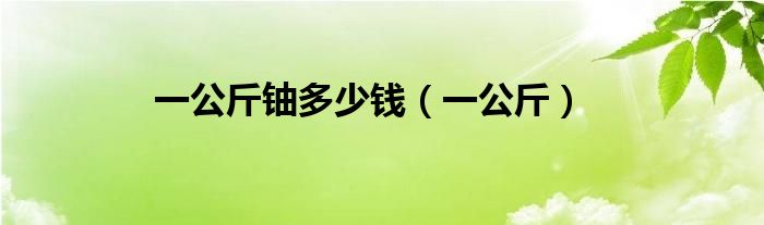 一公斤铀多少钱（一公斤）