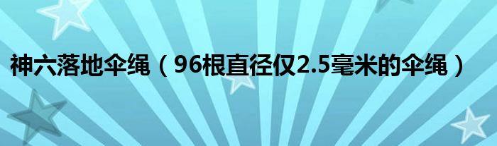 神六落地伞绳（96根直径仅2.5毫米的伞绳）