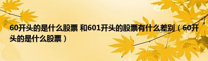 60开头的是什么股票 和601开头的股票有什么差别（60开头的是什么股票）