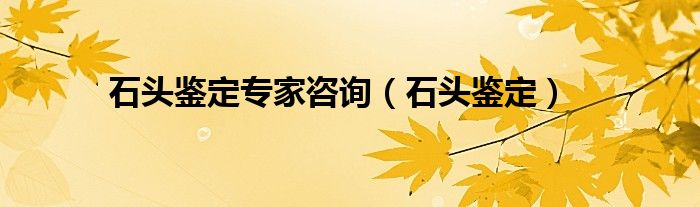 石头鉴定专家咨询（石头鉴定）