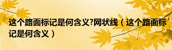 这个路面标记是何含义?网状线（这个路面标记是何含义）