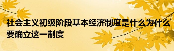 社会主义初级阶段基本经济制度是什么为什么要确立这一制度