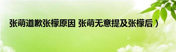 张萌道歉张檬原因 张萌无意提及张檬后）