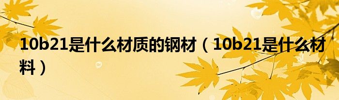 10b21是什么材质的钢材（10b21是什么材料）