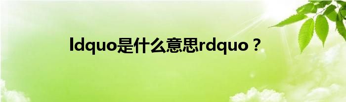 ldquo是什么意思rdquo？