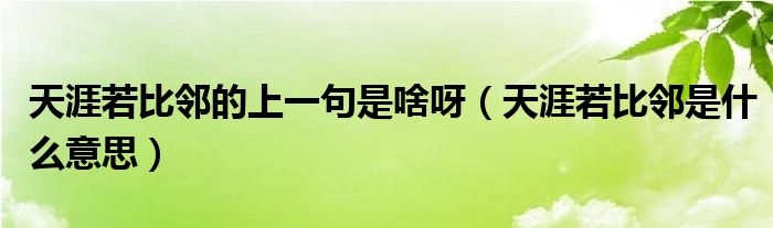 天涯若比邻的上一句是啥呀（天涯若比邻是什么意思）