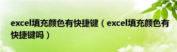 excel填充颜色有快捷键（excel填充颜色有快捷键吗）