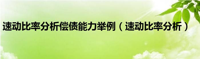 速动比率分析偿债能力举例（速动比率分析）