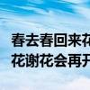 春去春回来花谢花会再开任贤齐（春去春回来花谢花会再开）