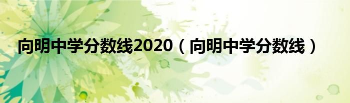 向明中学分数线2020（向明中学分数线）