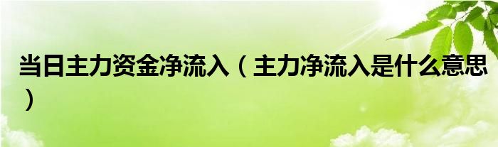 当日主力资金净流入（主力净流入是什么意思）