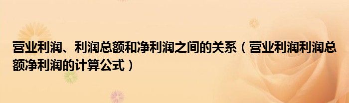 营业利润、利润总额和净利润之间的关系（营业利润利润总额净利润的计算公式）