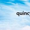 quincy是什么意思（quincy）