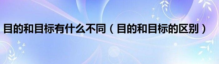 目的和目标有什么不同（目的和目标的区别）