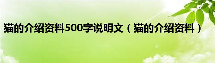 猫的介绍资料500字说明文（猫的介绍资料）