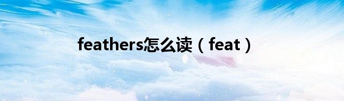 feathers怎么读（feat）