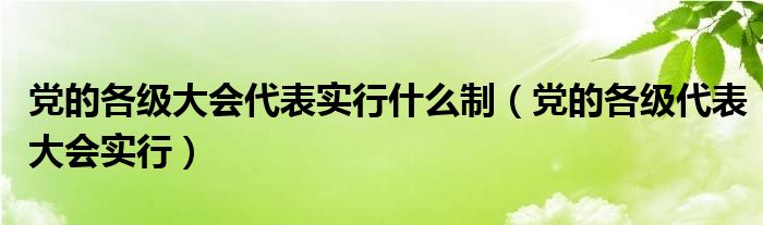 党的各级大会代表实行什么制（党的各级代表大会实行）