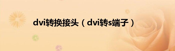 dvi转换接头（dvi转s端子）