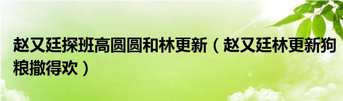 赵又廷探班高圆圆和林更新（赵又廷林更新狗粮撒得欢）