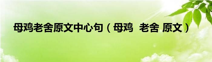 母鸡老舍原文中心句（母鸡  老舍 原文）